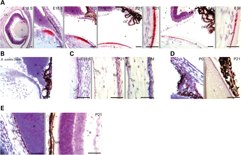 Figure 2.