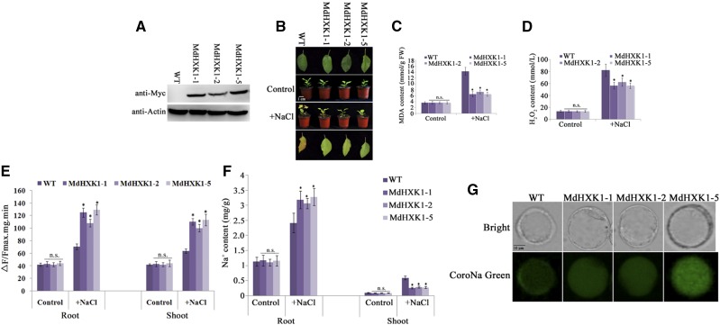 Figure 6