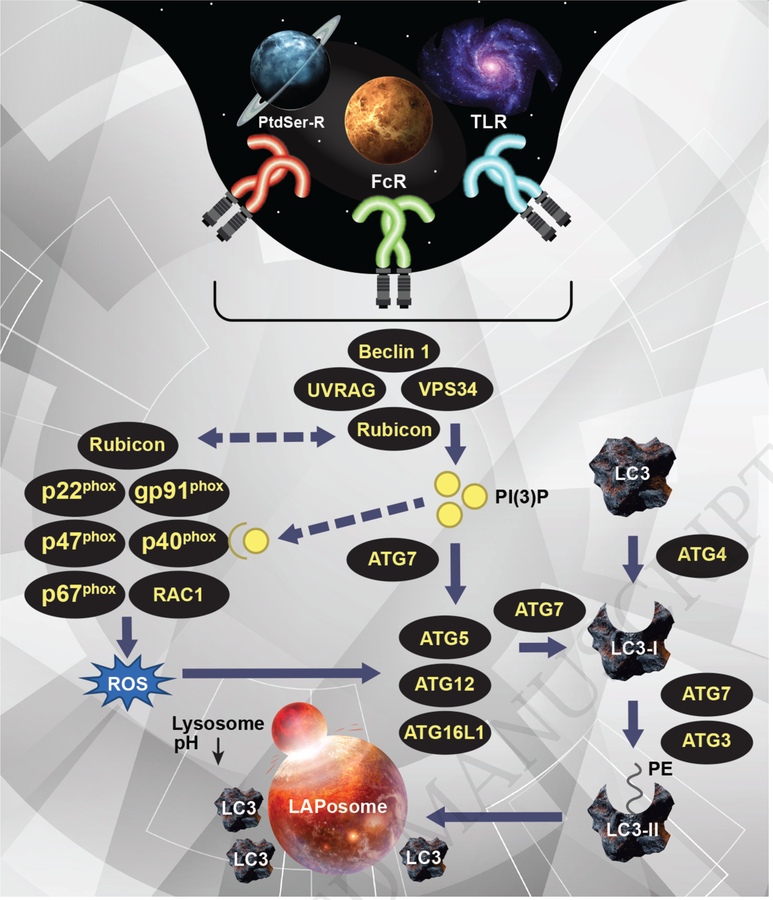 Figure 1: