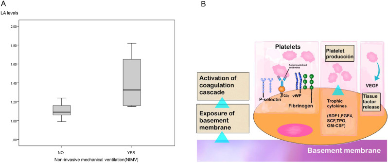 Fig. 1a