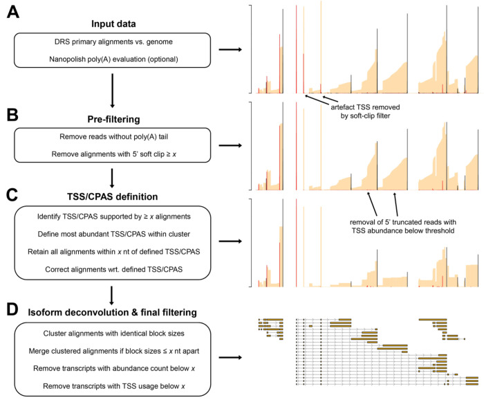 Figure 2: