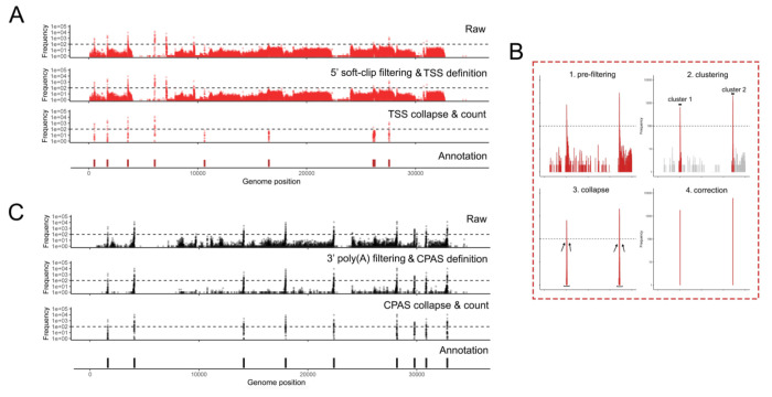 Figure 3: