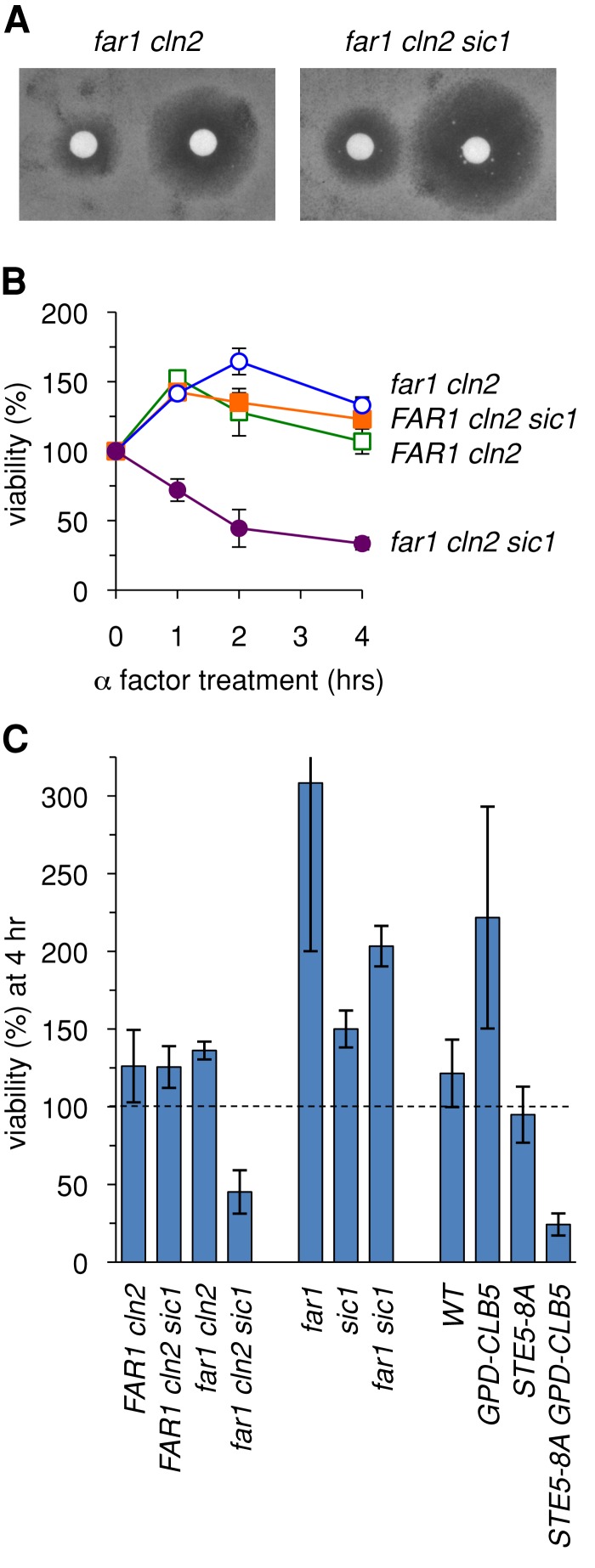 FIGURE 7: