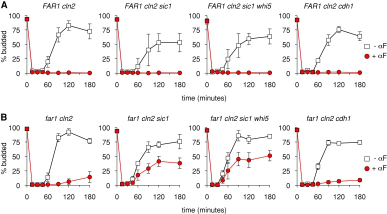 FIGURE 6: