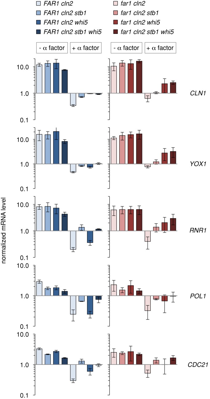 FIGURE 4: