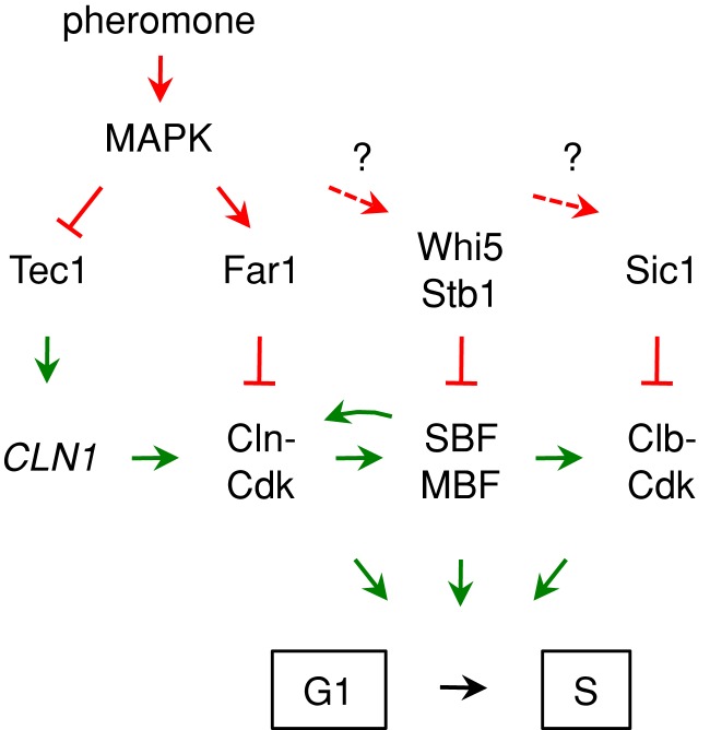 FIGURE 8: