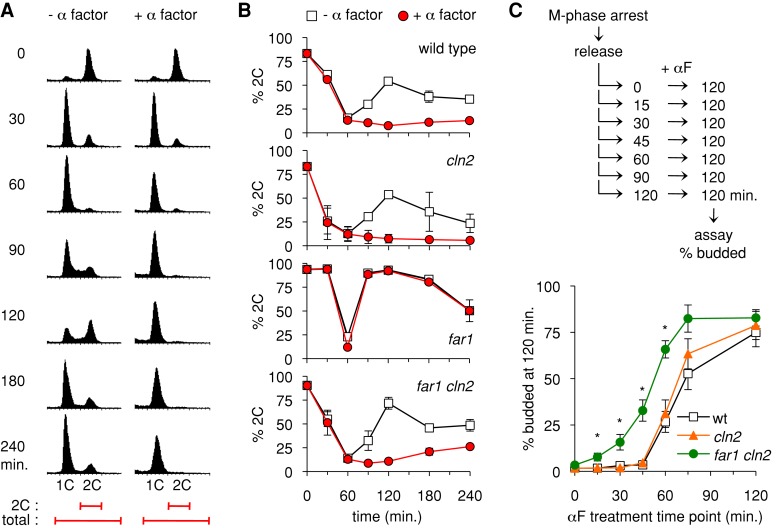 FIGURE 1: