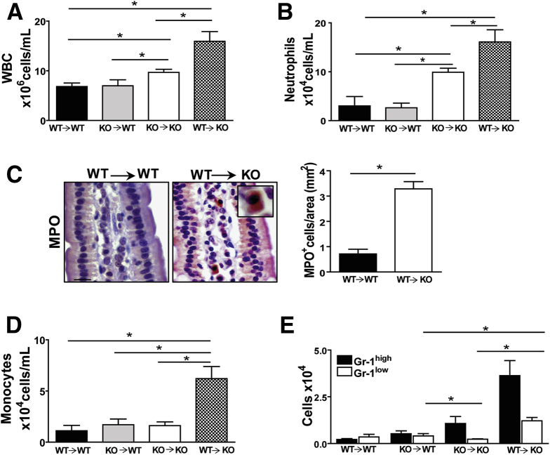 Figure 6