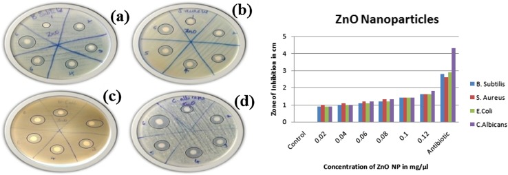 Fig. 4