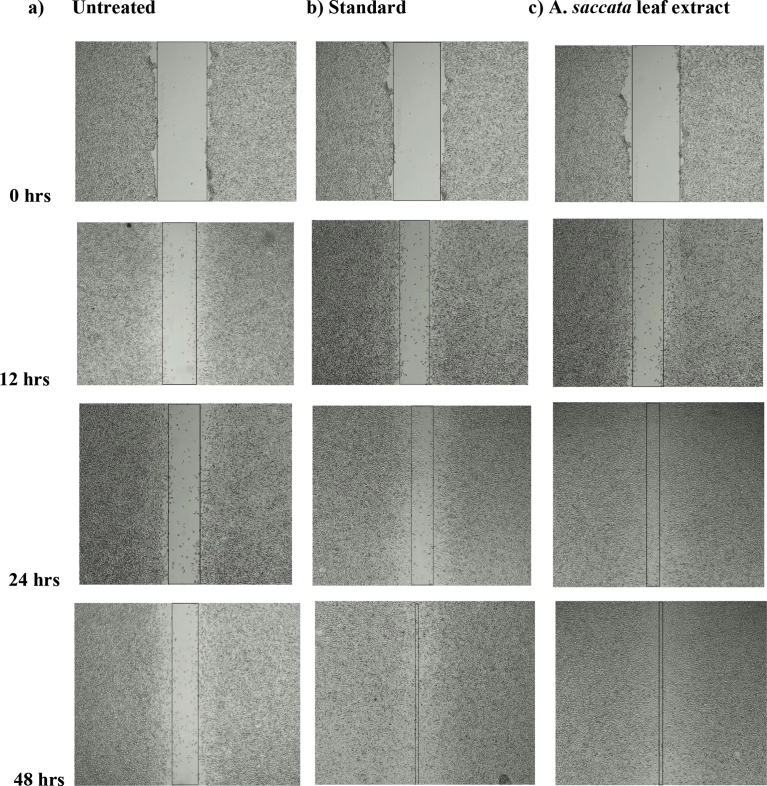 Fig. 4