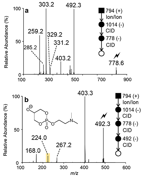 Figure 5.