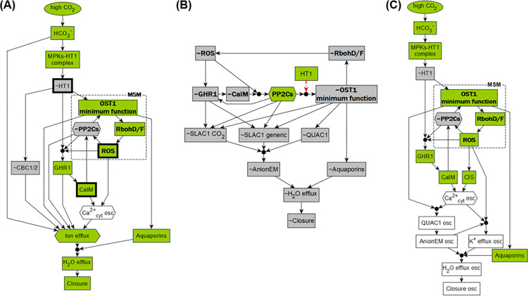 Fig 5