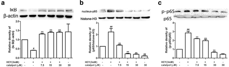 Fig. 9