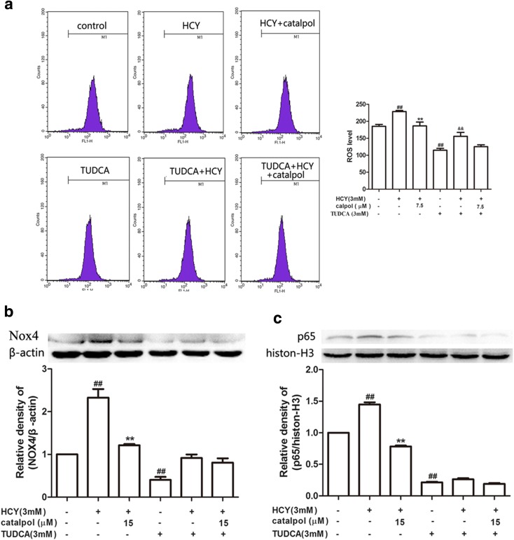 Fig. 12