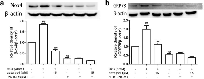 Fig. 11