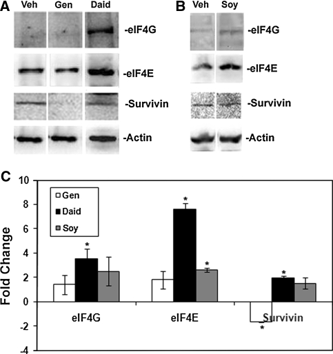 Fig. 6