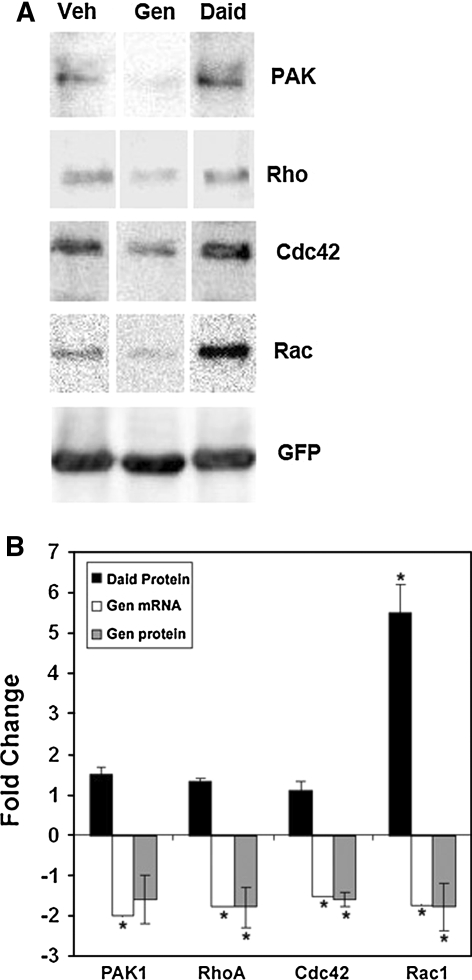 Fig. 5