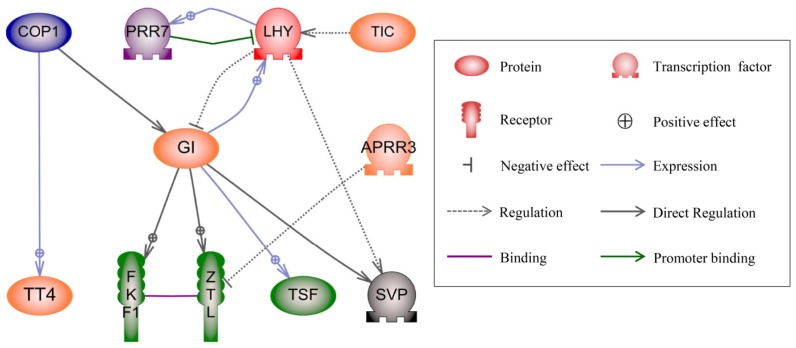 Figure 5.