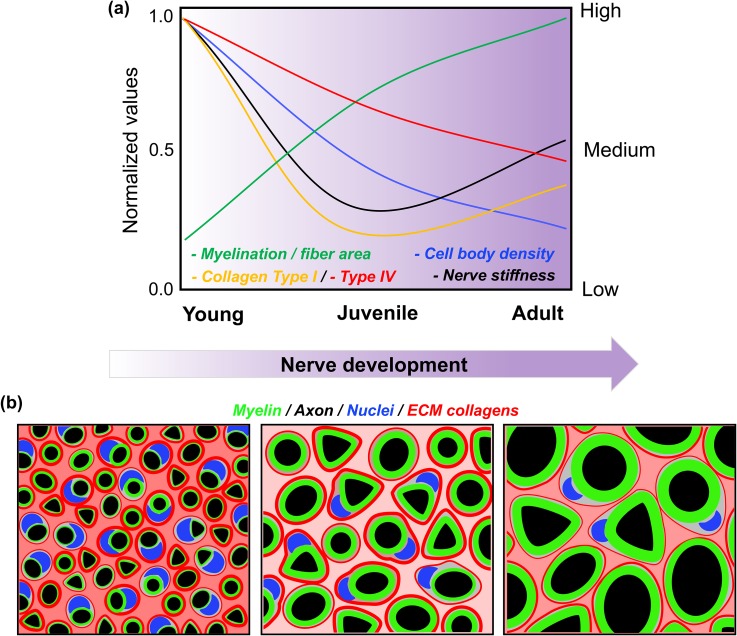 FIG. 7.