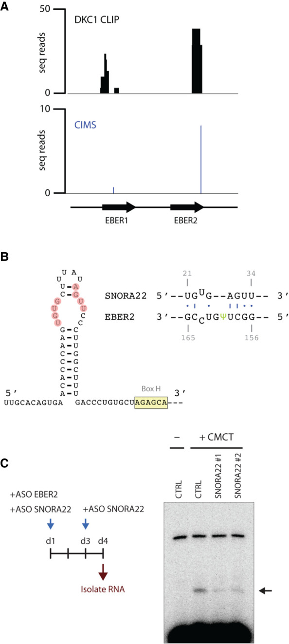 FIGURE 4.