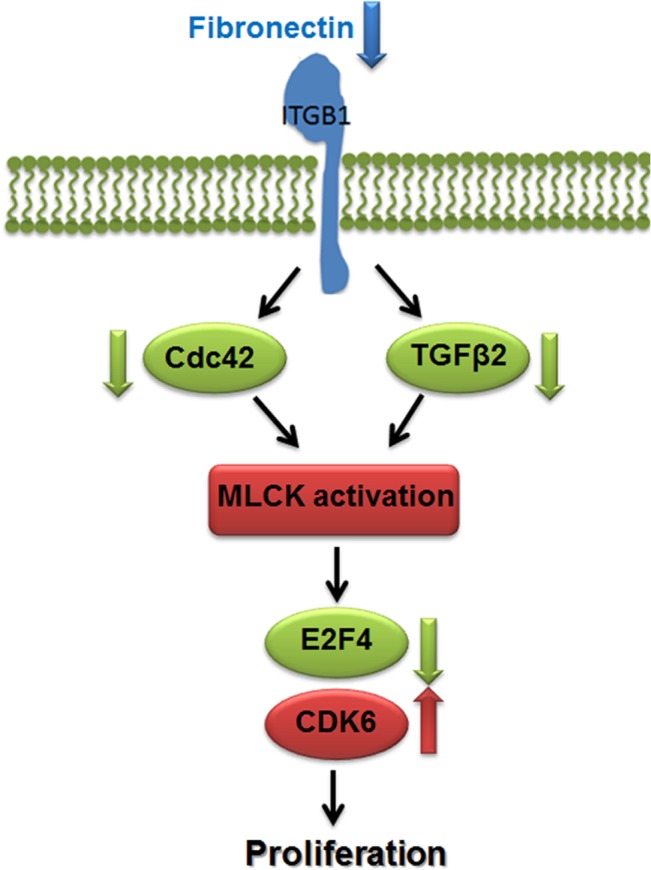 Fig 6