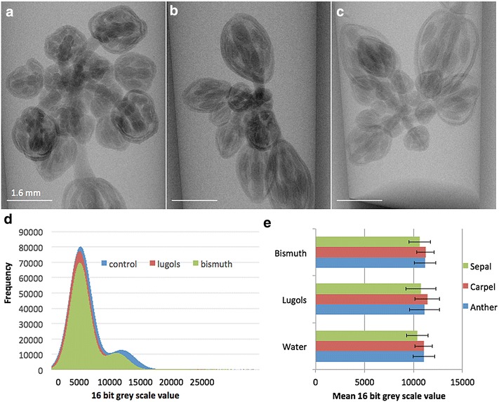 Fig. 3