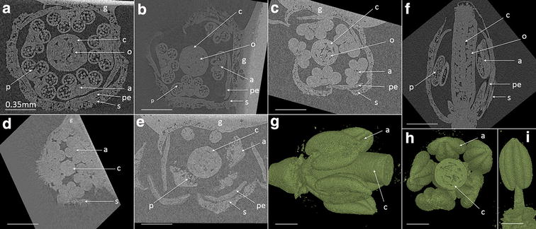 Fig. 2