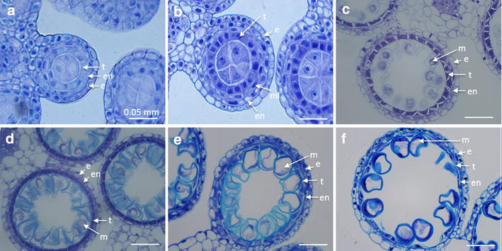 Fig. 6