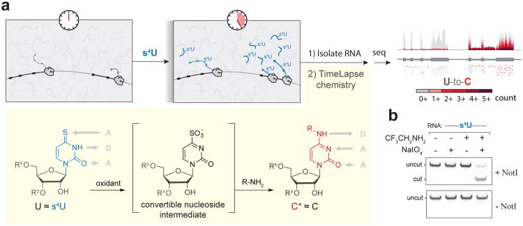 Fig.1