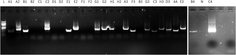 Figure 3.