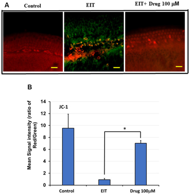 Figure 6