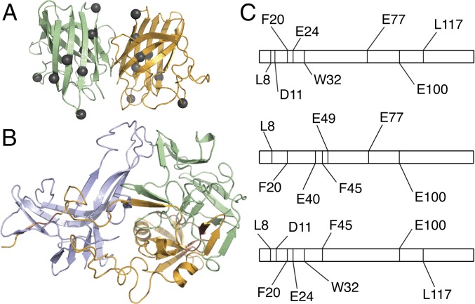 Fig. 2.