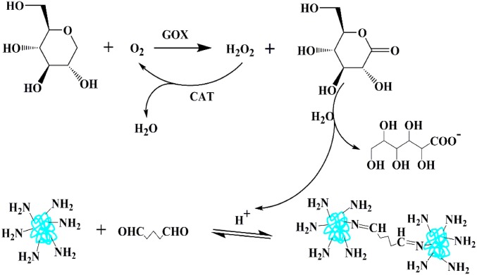 Fig. S3.