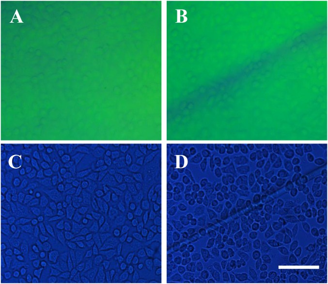 Fig. S6.