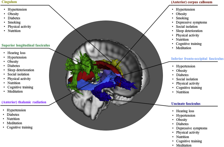 Fig. 3