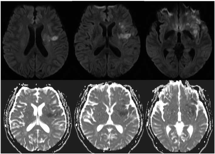 Figure 2