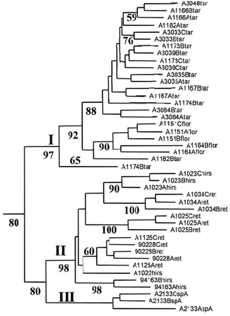 Figure 2.