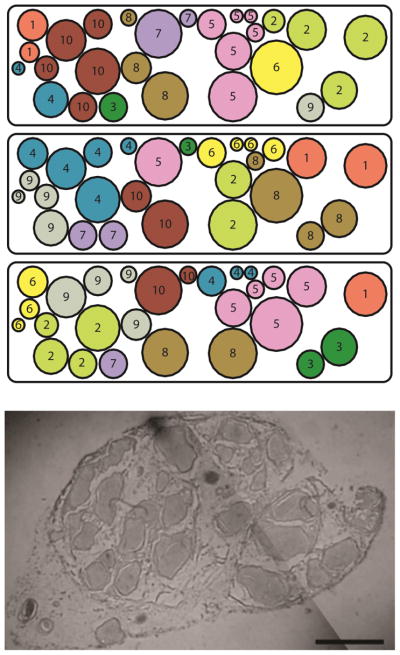 Fig. 2