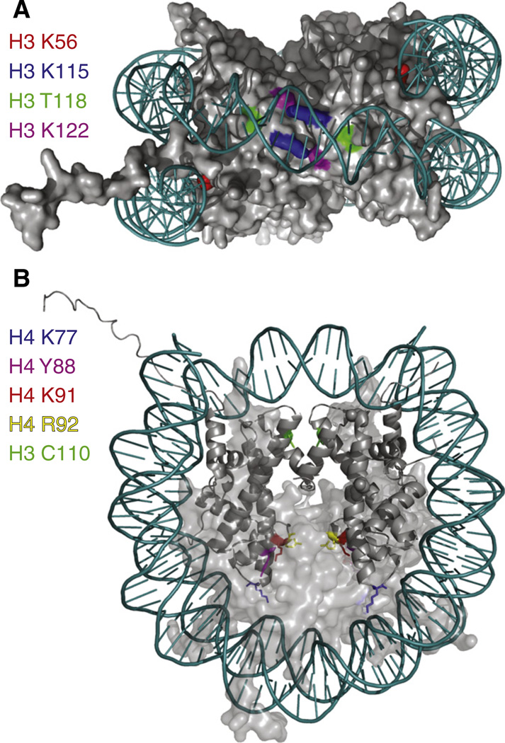 Fig. 4