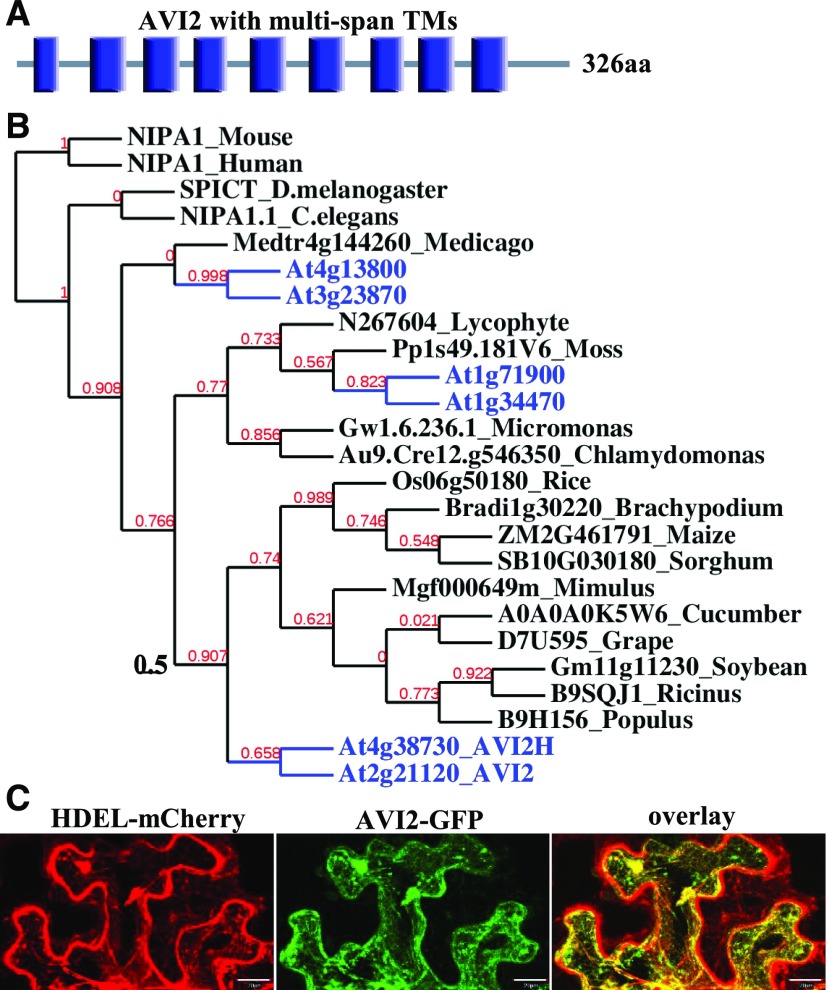 Figure 2.