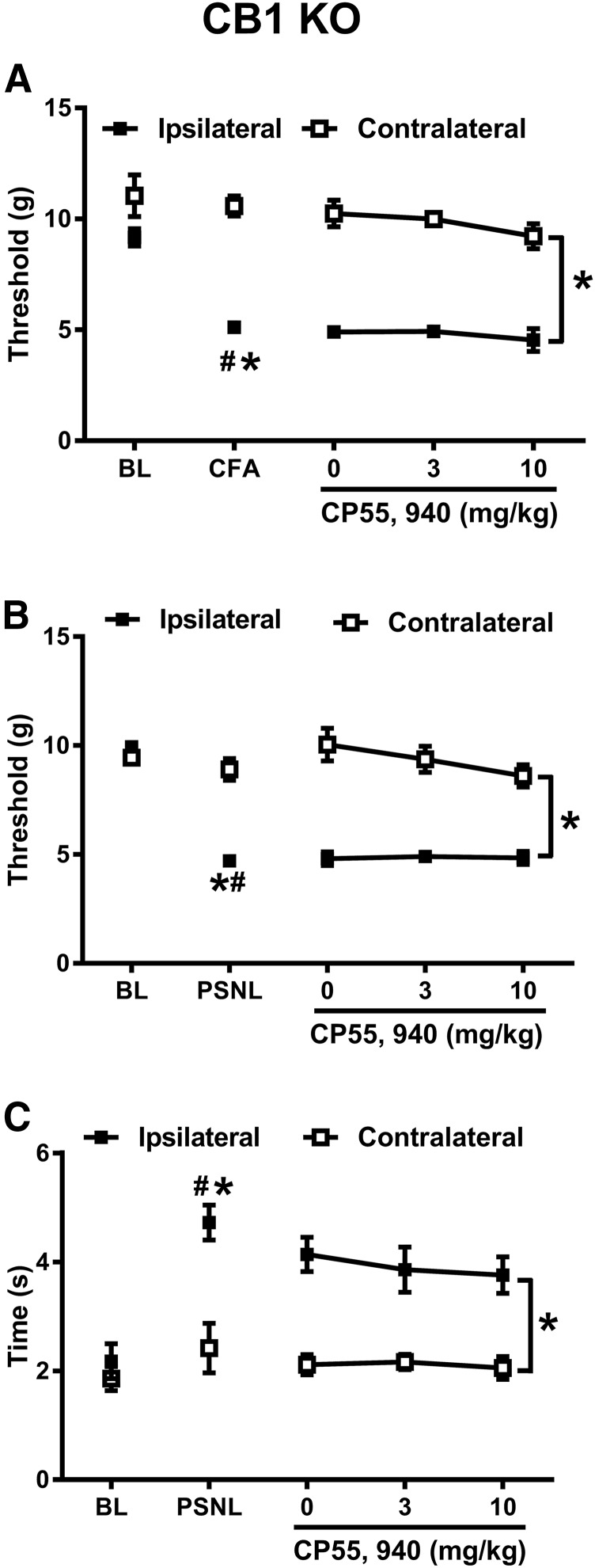 Fig. 9.