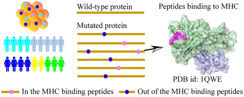 Fig 5