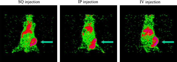 Fig. 7