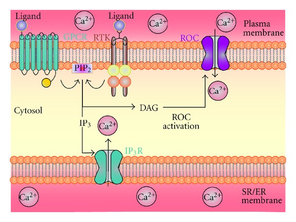 Figure 7