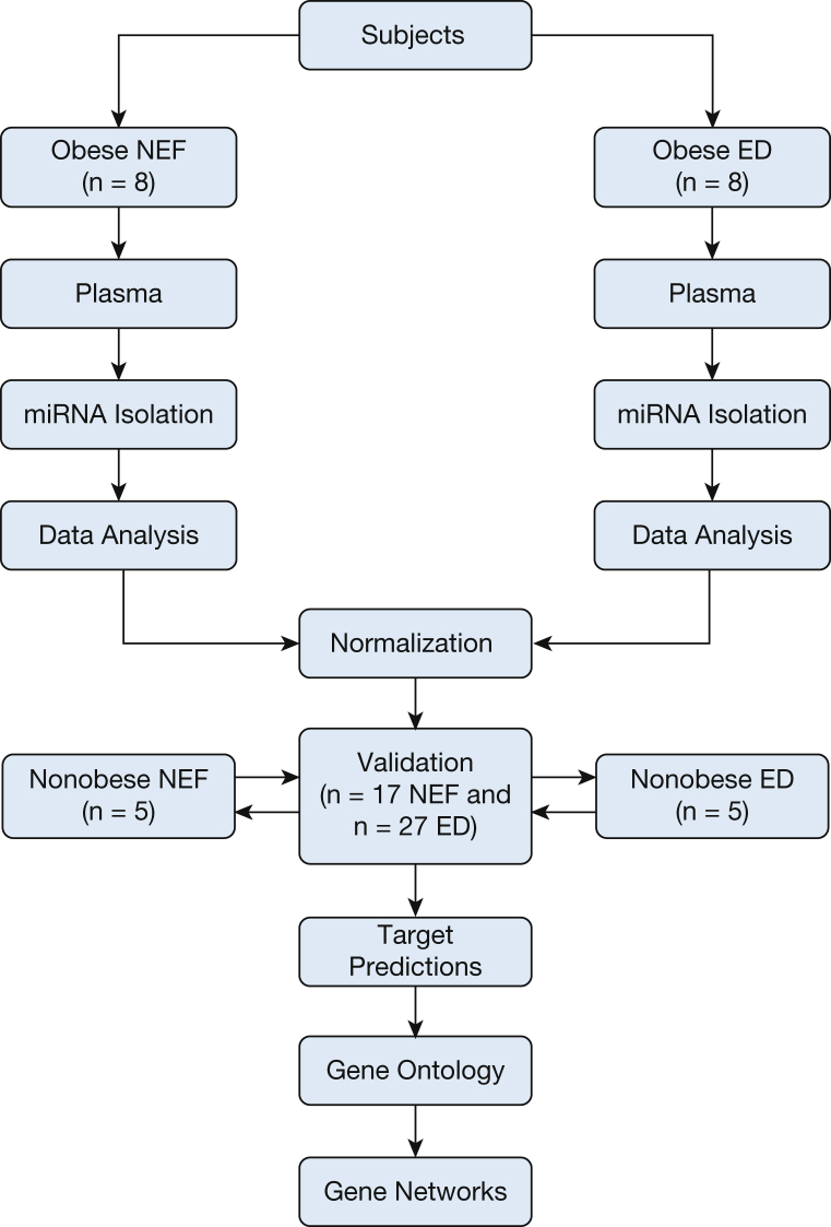 Figure 1