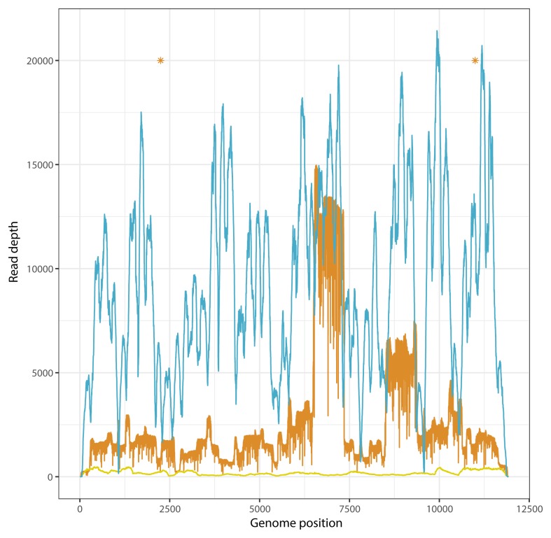 Figure 4. 