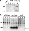 FIG. 5.