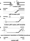 FIG. 6.