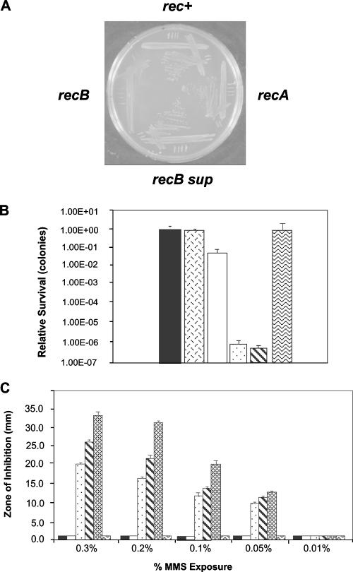 FIG. 2.