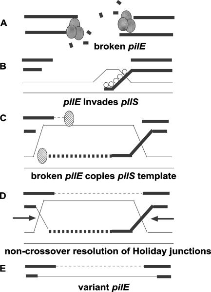 FIG. 6.